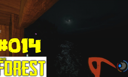#14 | Durch die Nacht | Let’s Play The Forest