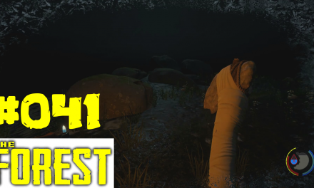 #41 | Eiskalte Nacht | Let’s Play The Forest