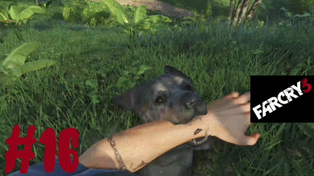 #16 | Wilde Hunde | Let’s Play Far Cry 3